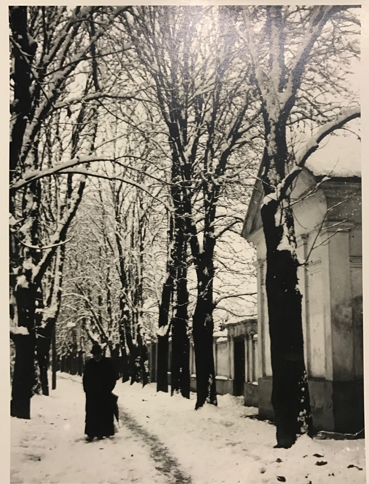 Image no. 222: Esztergom (Andre Kertesz), code=S, ord=340, date=1918