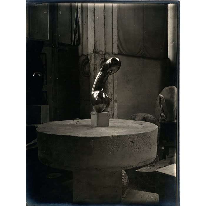 Image no. 155: Still Life - Leda and the Fi... (Constantin Brancusi), code=S, ord=36, date=1922