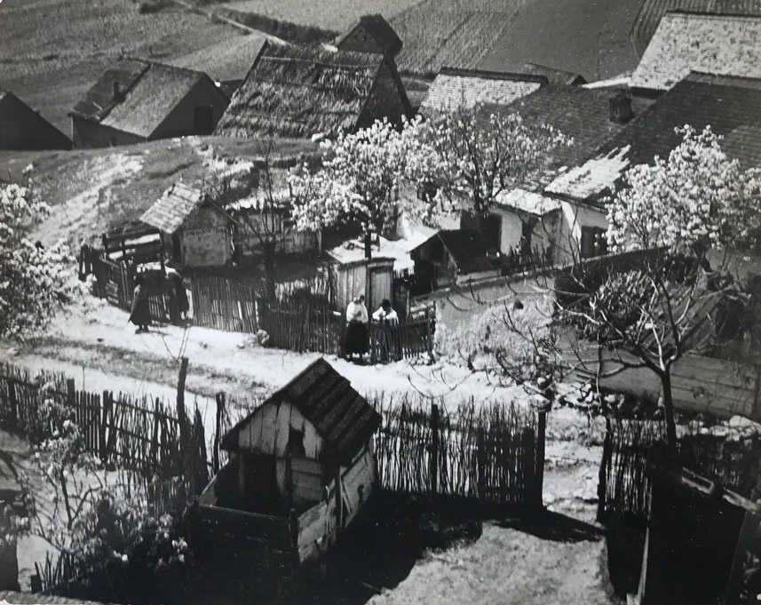 Image no. 224: Hungarian village (Andre Kertesz), code=S, ord=280, date=1919