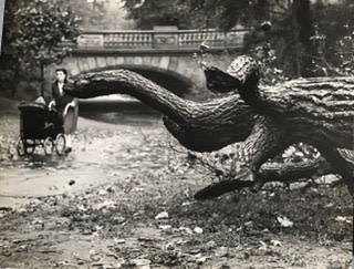 Image no. 216: Central Park (Andre Kertesz), code=S, ord=300, date=1944