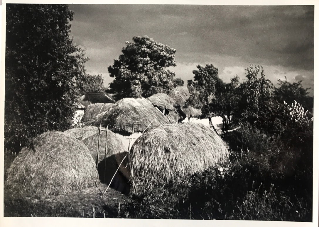 Image no. 240: Tisza-szalks (Andre Kertesz), code=S, ord=220, date=1924