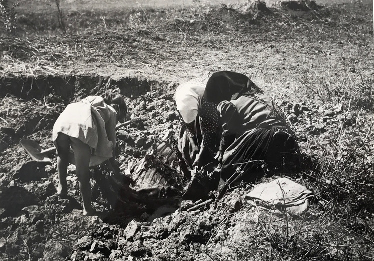 Image no. 223: Fokoru Puszta (Andre Kertesz), code=S, ord=450, date=1921