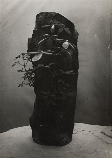 Image no. 183: Still Life - The Miracle (Constantin Brancusi), code=S, ord=37, date=1934