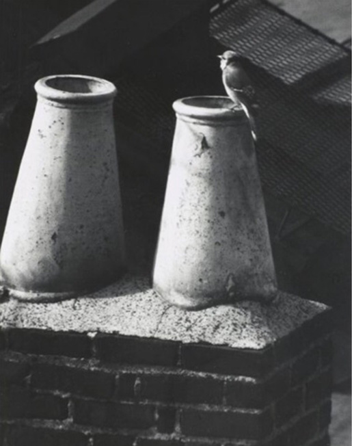 Image no. 3286: Washington Square (Andre Kertesz), code=S, ord=530, date=1961