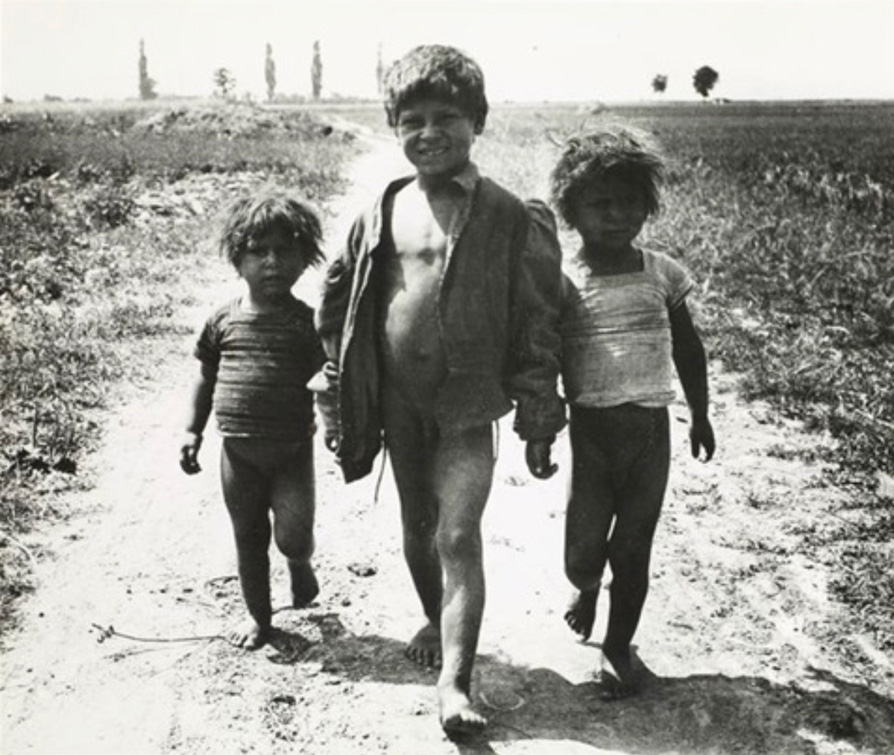 Image no. 3289: Enfants Tziganes, Esztergom (Andre Kertesz), code=S, ord=210, date=1917