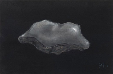 Image no. 26: Oyster Shell (Gregoire Muller), code=S, ord=1000, date=2012