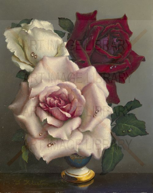 Image no. 4225: Red, Pink and White Roses (Irene Klestova), code=S, ord=0, date=mid 20th century