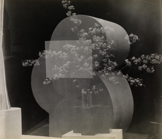 Image no. 188: Timidité, Bouquet en ... (Constantin Brancusi), code=S, ord=40, date=c. 1928